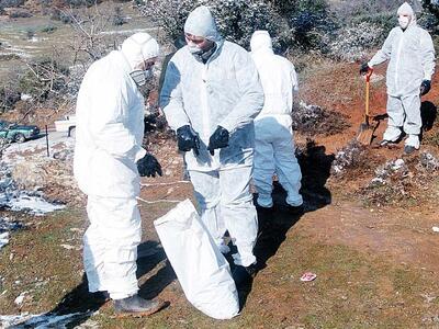 Πάτρα: Νέα βαρέλια με ύποπτο υλικό βρέθη...