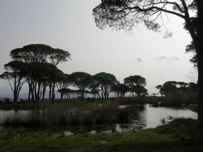 Πως ο Φορέας Διαχείρισης Στροφυλιάς - Κο...