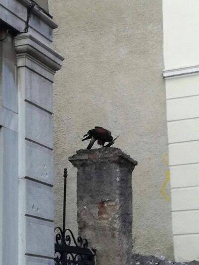 H φωτογραφία του αναγνώστη μας Γιώργου Κοκοή