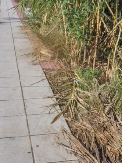 Αλλού έχουν αφαιρεθεί οι ραβδωτές πλάκες!