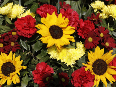 Εορτολόγιο: Ποια γιορτή είναι σήμερα 29 Αυγούστου