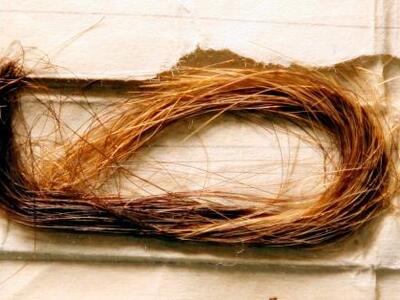 Βραζιλία: Κατέσχεσαν τρίχες αξίας 300.000 ευρώ!