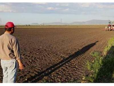 Υποβολή Ε9 για τα αγροτεμάχια μετά τις 2...
