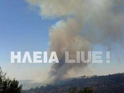 Ηλεία: Υπό έλεγχο στην περιοχή Φραγκαπήδ...