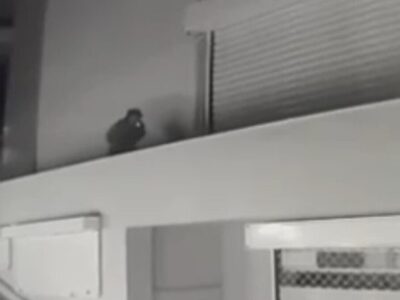 Γλυφάδα: 26χρονος λήστεψε 3 φορές την ίδ...