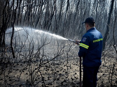 Φωτιά στο Βαθροβούνι: "Έχουμε αποφύ...