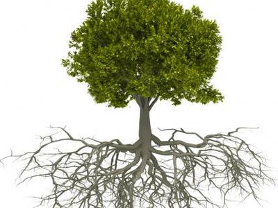 Mάθετε από που βαστάει η σκούφια σας από...