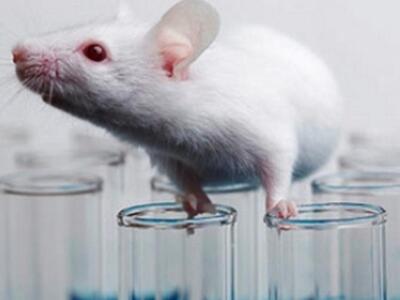 Νομπελίστες και επιστημονικοί οργανισμοί...