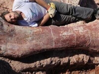 Ανακαλύφθηκε ο μεγαλύτερος δεινόσαυρος π...