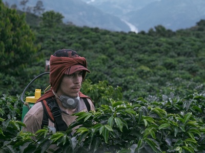 62ο Φεστιβάλ Κινηματογράφου - Στο δρόμο ...