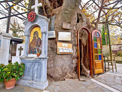 Καλάβρυτα: Θρησκευτική εορτή στο Ιερό Πρ...