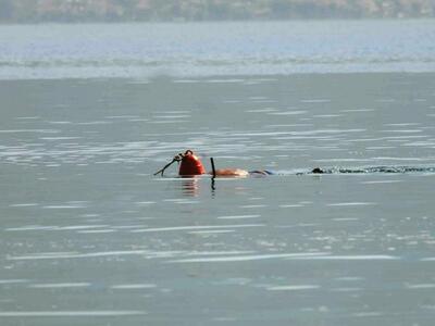 Εντοπίστηκε νεκρός ο 22χρονος ψαροντουφε...