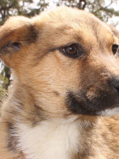 Τζακ Ποτ αδιαφορίας! 