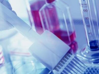 Η Ελλάδα 32η παγκοσμίως στον δείκτη έρευ...