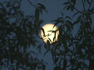Πάτρα: "Φεγγάρι μάγια μου΄κανες&quo...