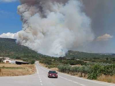 Φωτιά στην Ροδόπη - Στη μάχη εννέα εναέρια μέσα