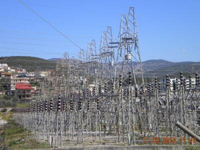 Ένα κουνάβι έσκαψε λαγούμι και βύθισε τη...