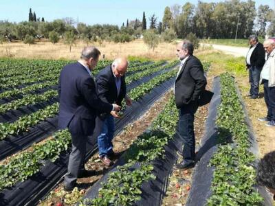 Στους πληγέντες παραγωγούς της Δυτικής Α...
