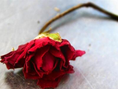 Τραγωδία στη Ναύπακτο! Νήπιο 2,5 ετών έχ...