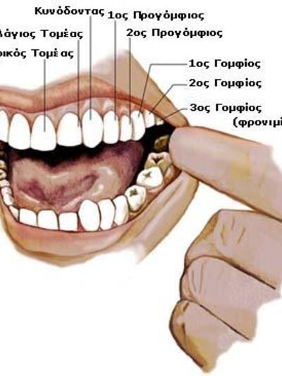 Οδοντιατρική  φροντίδα σε μαθητές και μα...