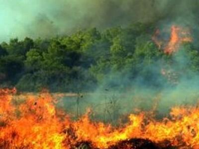 Φωτιά στο δάσος στην περιοχή των Μακρισίων