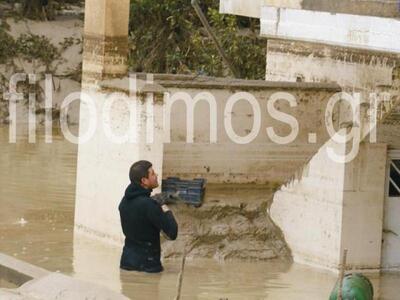 Επιχείρηση διάσωσης...γάτας από την πλημ...