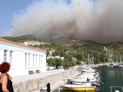 Καταστροφική η φωτιά στην Εύβοια-Έκαψε χ...