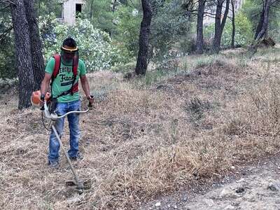 Δήμος Πατρέων: Παράταση έως 15 Ιουνίου γ...