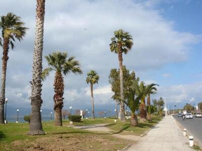 Πάτρα: Η...ανοιξιάτικη εικόνα της παραλι...