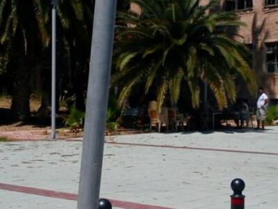 Αίγιο: Οι Ρομά κάνουν "μπάρμπεκιου&...