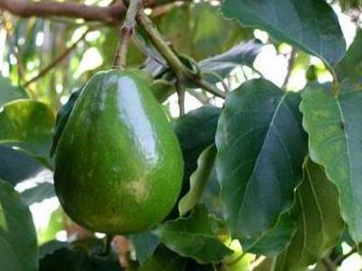 Αυτές είναι οι τροφές που ανεβάζουν την ...