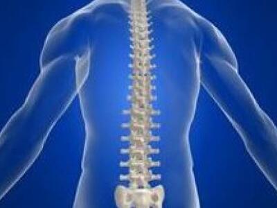 Συνέδριο για τη Σπονδυλική Στήλη στα Γιάνενα