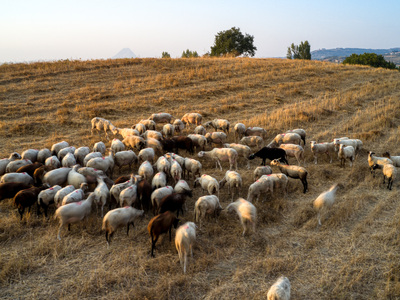 Περιφέρεια: Χορήγηση έκτακτης ενίσχυσης ...