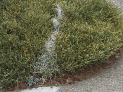 Έβαψαν τις διαχωριστικές γραμμές, έβαψαν...