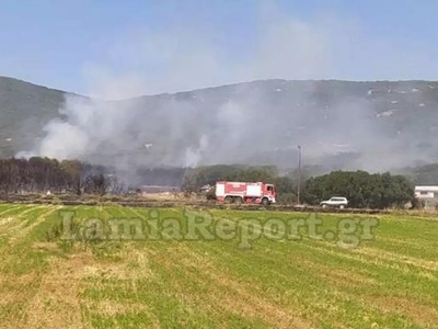 Φωτιά στη Λαμία: Σκληρή μάχη για να μην ...