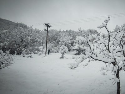 Έρχεται αγριεμένη απόψε η " Σοφία&q...