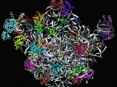 14ο Συνέδριο Ιατρικής Χημείας και 2ο FP7...