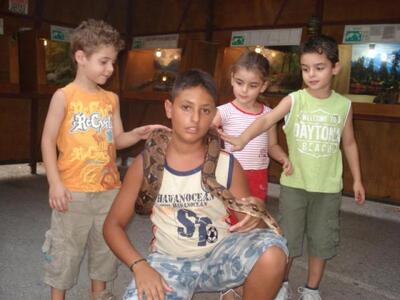 Έκθεση ζωντανών ερπετών στην Πάτρα!