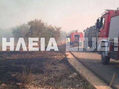 Ηλεία: Κάηκαν βοσκοτόπια στα ορεινά 