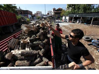 Παράνομη υλοτομία στην Ηλεία: Η ξυλεία κ...