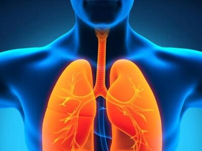 Ξαναρχίζουν οι μεταμοσχεύσεις πνευμόνων ...