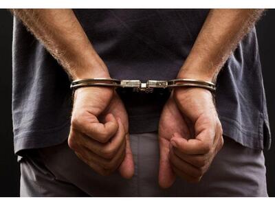 Πύργος Ηλείας: Συνελήφθησαν δύο νεαροί γ...