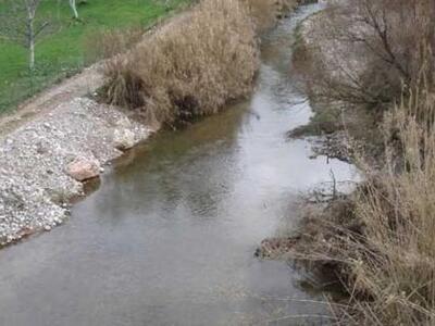 Αχαία: Μήνυση κατά παντός υπευθύνου απο ...