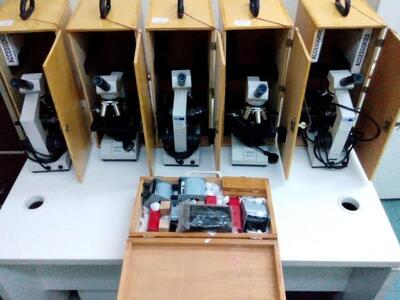 Πάτρα: Συνελήφθη μέλος συμμορίας που είχ...