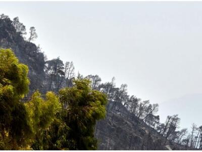 Ψάχνουν τα στοιχεία του απανθρακωμένου