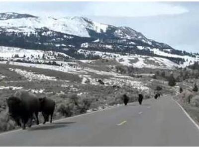 Βίντεο για το «τέλος του κόσμου» προκαλε...