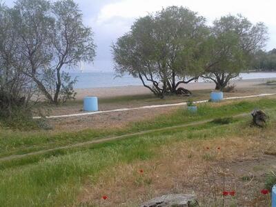 Πάτρα: Μετά το δασάκι, λάμπει και η παρα...