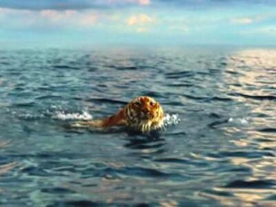 Στον πτωχευτικό κώδικα η εταιρεία ειδικώ...