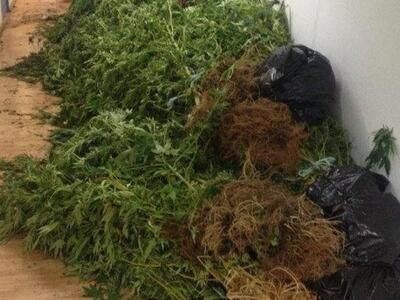 Σήμερα η απολογία των 12 για τις χασισοφ...