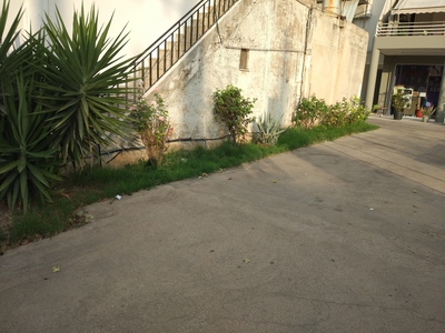 Πάτρα: Ένας όμορφος στολισμένος περίβολο...